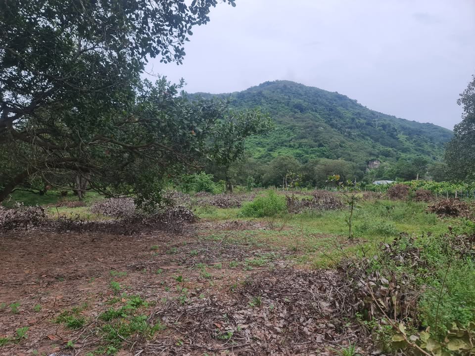 Đất nền Suối Cát, Xuân Lộc 8400m² giá 3.8 tỷ - Sát núi Chứa Chan!