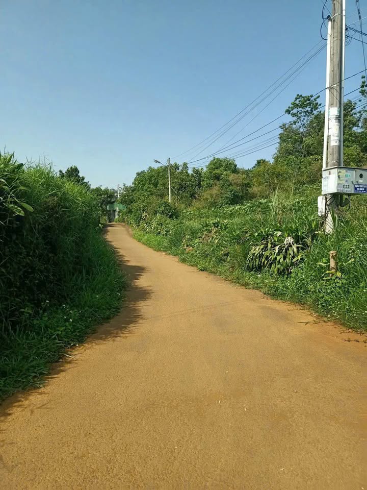 Đất nền Bảo Lộc 192m² giá 860 triệu - Xây dựng tự do, vị trí đắc địa!