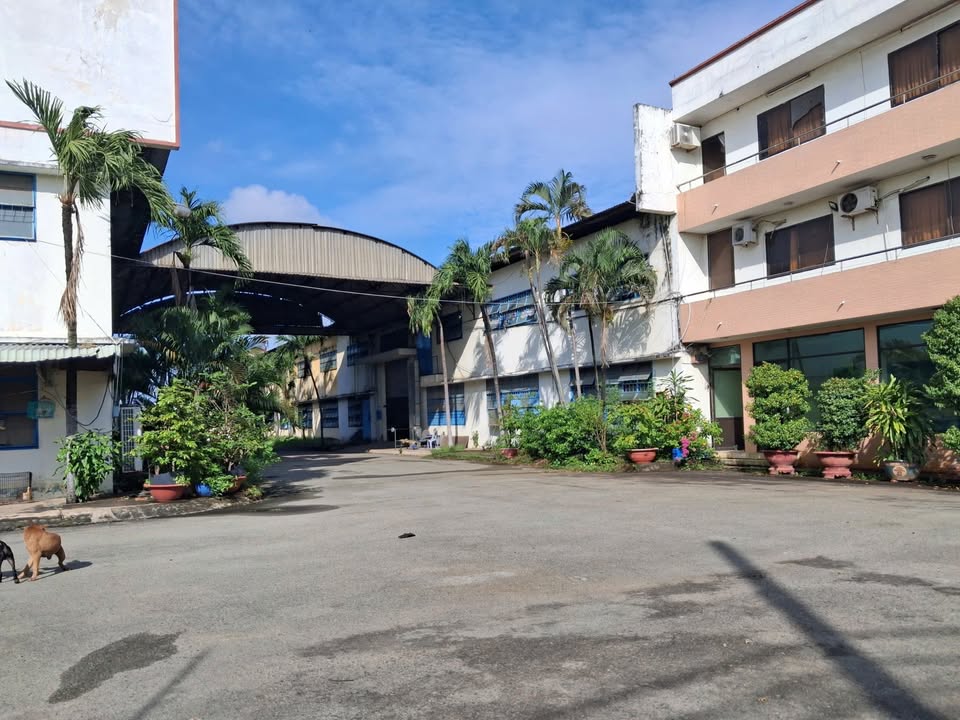 Cho thuê xưởng sản xuất 17.000m² tại Đường Trần Đại Nghĩa, Bình Chánh - Giá tốt, thương lượng!