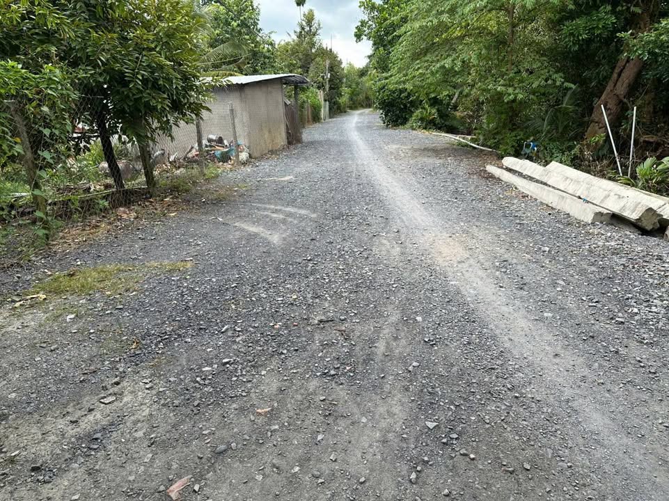 Đất thổ cư 4400m² tại Mỹ Đức Tây, Cái Bè - Sẵn sàng xây dựng kho, vựa!