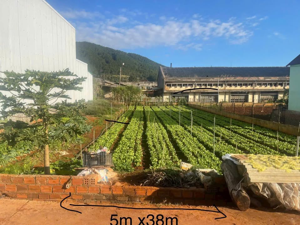 Đất thổ cư xã Hiệp Thạnh, Đức Trọng, Lâm Đồng 190m² giá 1.75 tỷ - Đường bê tông ô tô vào tận nơi!