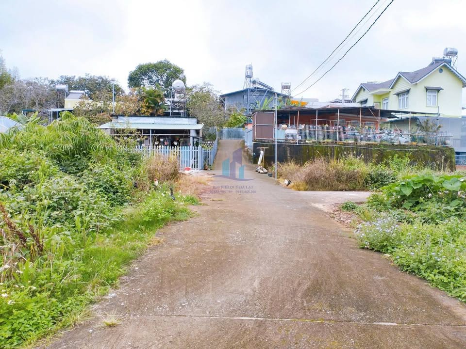 Đất Nam Hồ Đà Lạt 90m² giá 1.1 tỷ - Đầu tư sinh lời ngay!