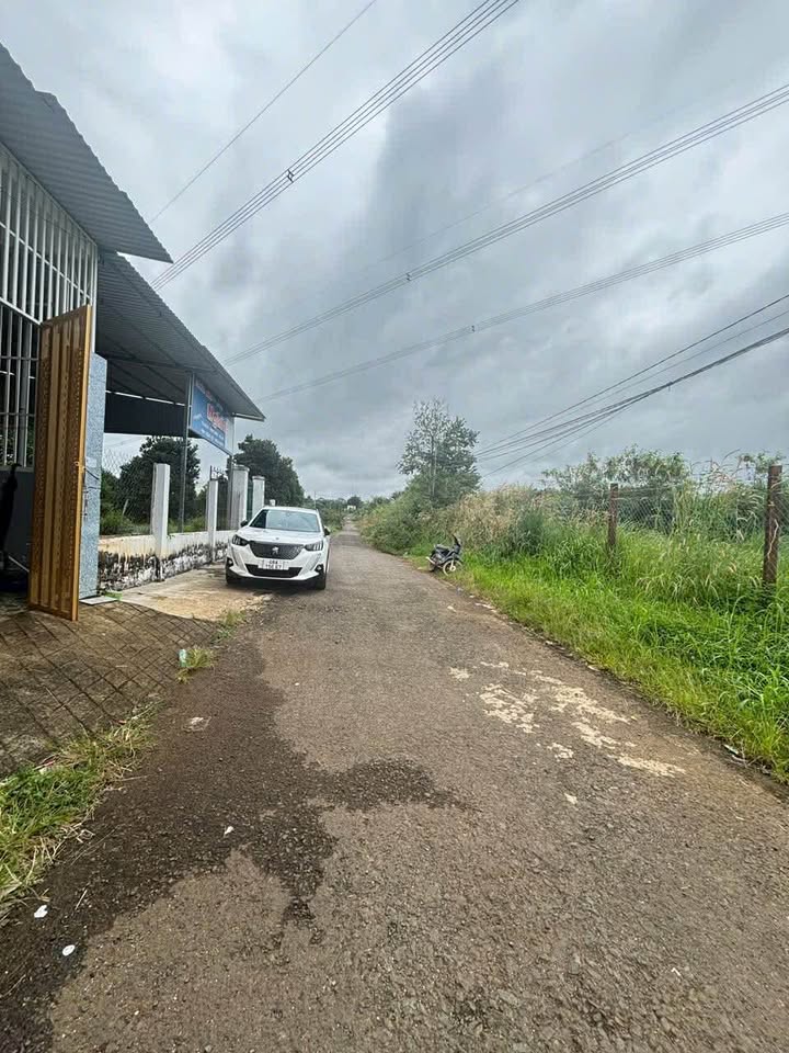 Nhà cấp 4 bán gấp ở phường Thành Nhất, Đắk Lắk - 100m² giá 1.39 tỷ!