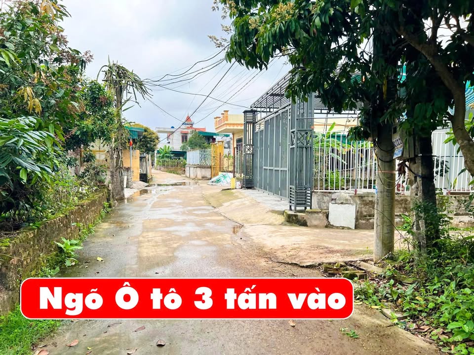Đất nền Trà Lý, Thái Bình 365m² giá 1.7 tỷ - Tiềm năng tăng giá cực lớn!