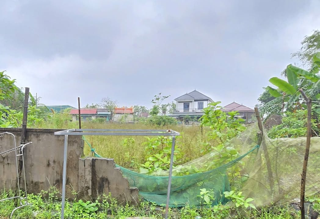 Đất thổ cư tại TDP 1 Thị Trấn Thạch Hà 359,9m² giá 1.88 tỷ - Đầu tư sinh lời ngay!