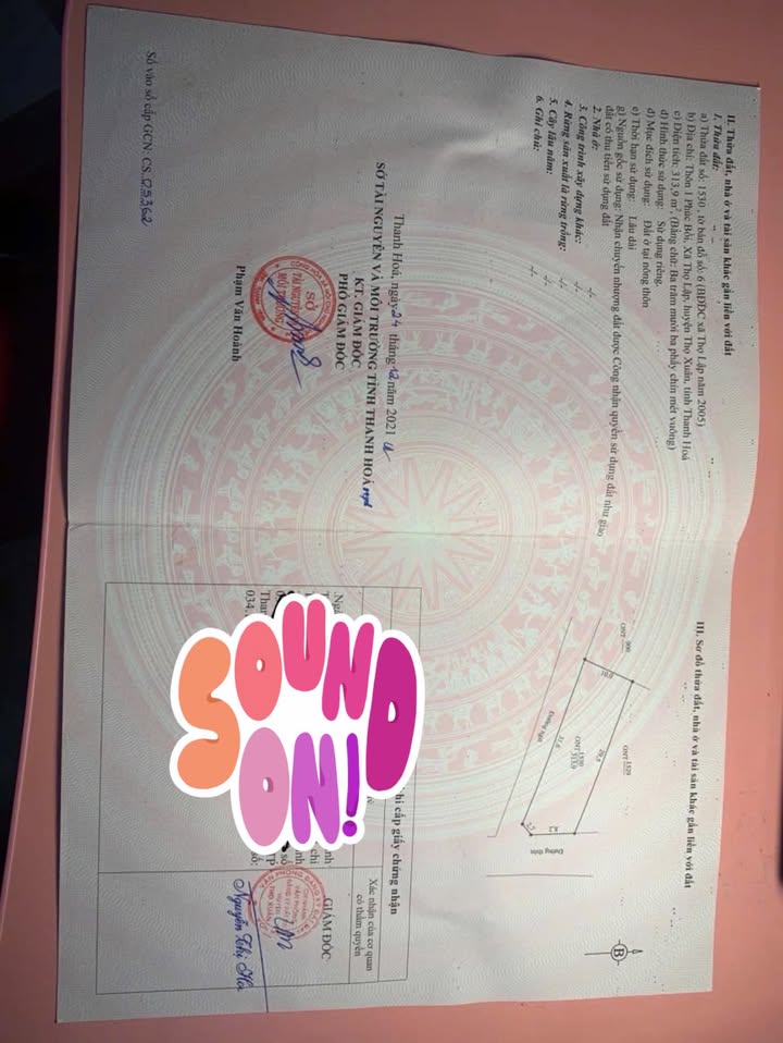 Đất nền Thọ Lập 313m² giá chỉ 700 triệu - Cơ hội đầu tư hấp dẫn!