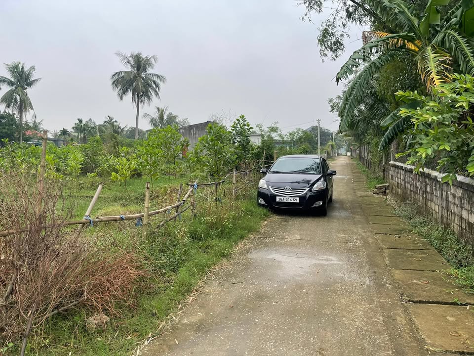 Đất nền Trường Minh Nông Cống 239m² giá 500 triệu - Cơ hội đầu tư tuyệt vời!