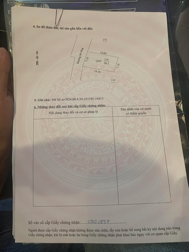Đất Hồng Hưng, Gia Lộc 98.2m² - Đường rộng, vị trí kinh doanh thuận lợi!