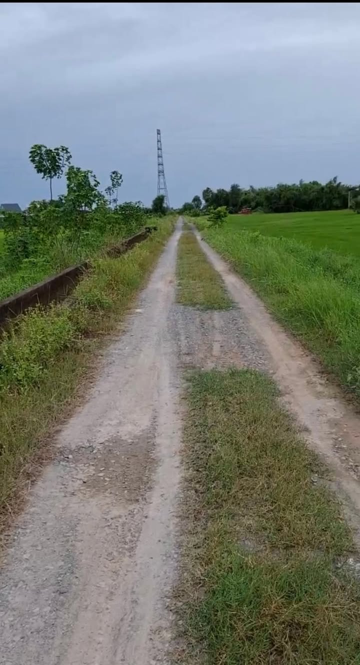 Đất nền Tân Phú, Đức Hòa 1423m² giá 950 triệu - Cơ hội đầu tư hấp dẫn!