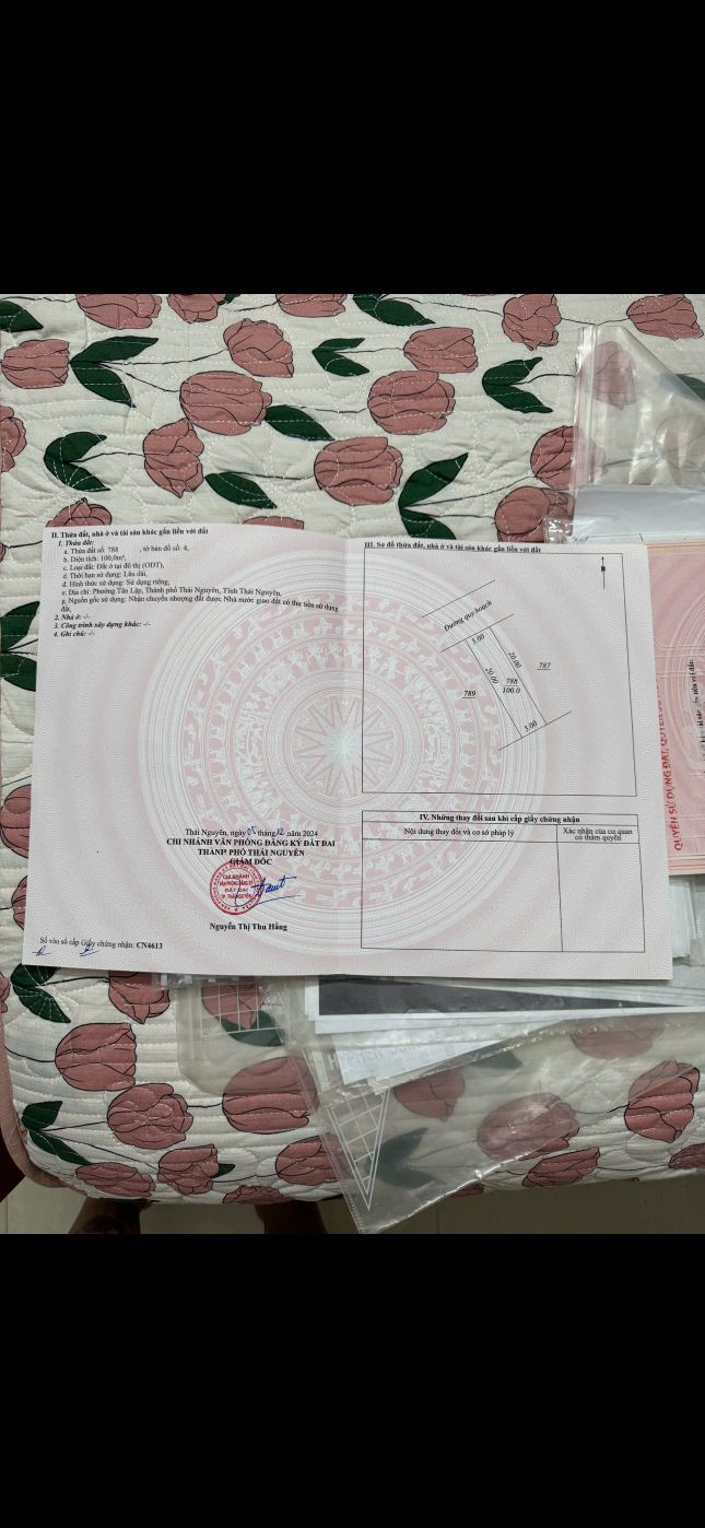 Đất thổ cư phường Tân Lập Thái Nguyên 100m² giá 3 tỷ - Đường lớn, dân cư đông đúc!