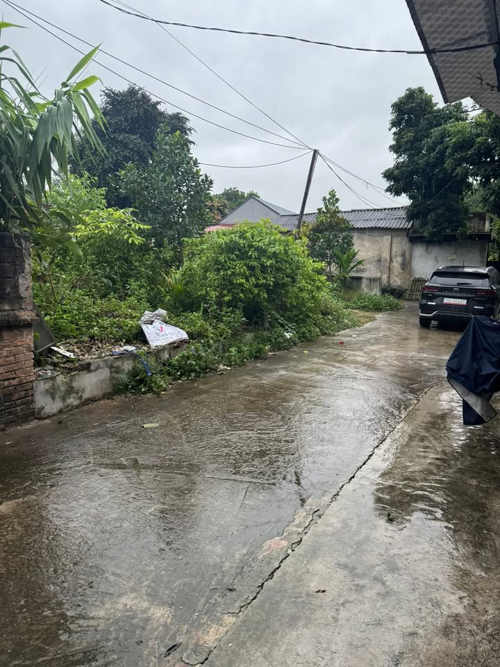 Đất thổ cư Thanh Ninh, Phú Bình 116m² giá 500 triệu - Tiềm năng sinh lời cao!