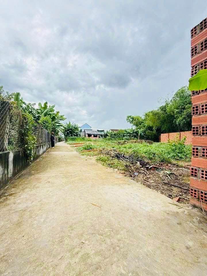 Đất nền Nhơn Hoà An Nhơn 110m² giá chỉ 320 triệu - Bán gấp, xả lỗ!