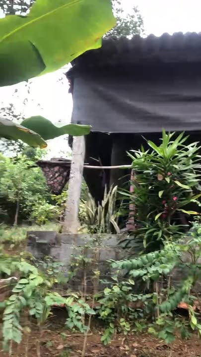 Đất vườn Hợp Tiến Kim Bôi 2000m² giá 1.5 tỷ - Sẵn nhà và vườn cây