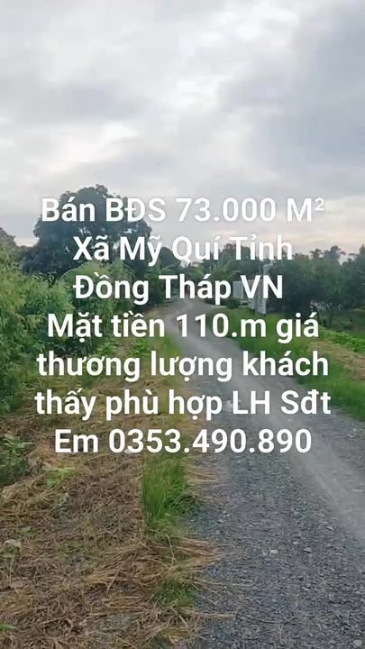 Đất nền 279.000m² xã Mỹ Quí, huyện Tháp Mười, Đồng Tháp - Giá thương lượng hấp dẫn!