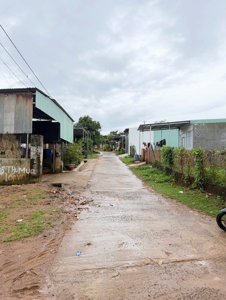 Đất nền Bùi Viện, Pleiku 310m² - Cơ hội đầu tư tuyệt vời!