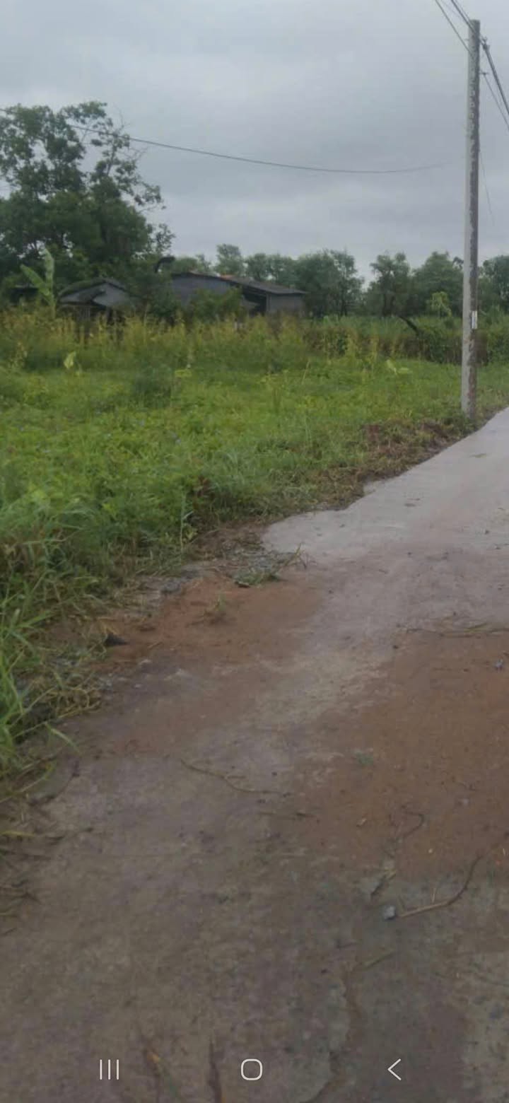 Đất nền 140m² tại Bình Nghị, Gò Công Đông - Giá chỉ 250 triệu, cơ hội đầu tư tuyệt vời!