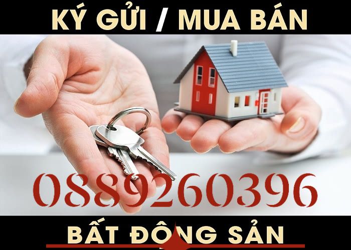 Đất ruộng Gò Công Đông 874m² giá thỏa thuận - Mặt tiền bê tông ô tô vào tận nơi!