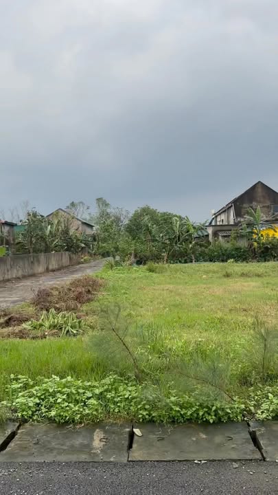 Đất nền Kỳ Trinh 810m² giá thương lượng - Cơ hội đầu tư hấp dẫn!