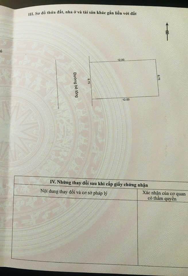 Đất nền Hòa Thọ Tây Đà Nẵng 81m² giá 2 tỷ - Sổ đỏ chính chủ, vị trí đẹp!