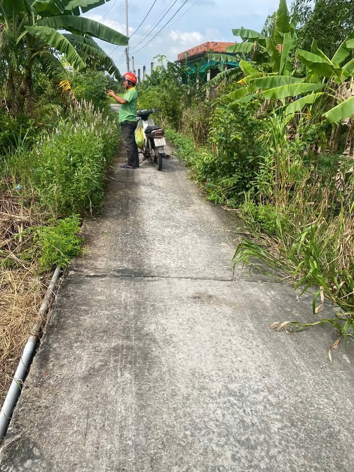 Đất thổ cư Lạc Tấn, Tân Trụ 185m² giá 395 triệu - Bán gấp, vị trí đẹp!