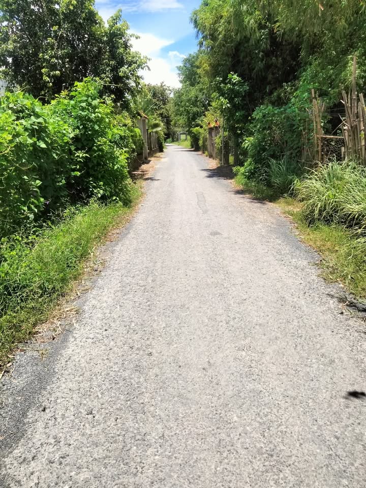 Đất mặt tiền đường nhựa Tân Hiệp, Trà Cú 1680m² giá 1.1 tỷ - Cơ hội đầu tư lý tưởng!