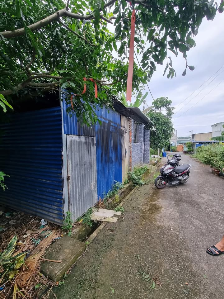 Đất nền 87m² Trảng Dài, Biên Hòa - Giá 449 triệu, vị trí gần chùa Từ Đức!