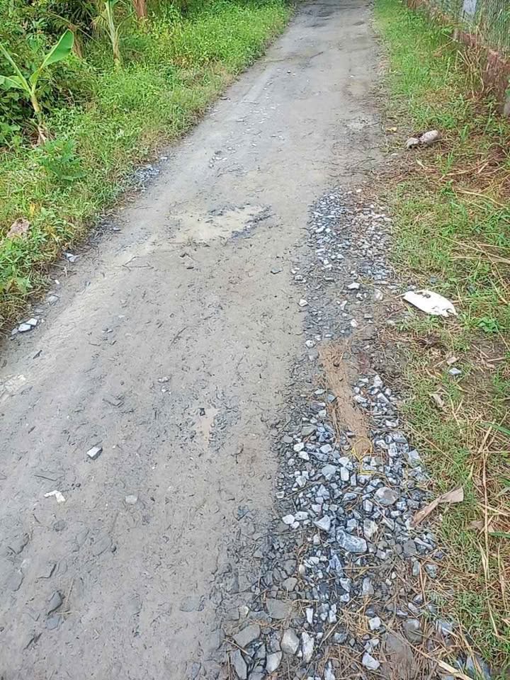 Đất nền Lương Hòa, Giồng Trôm 800m² giá chỉ 450 triệu - Sổ đỏ chính chủ ngay