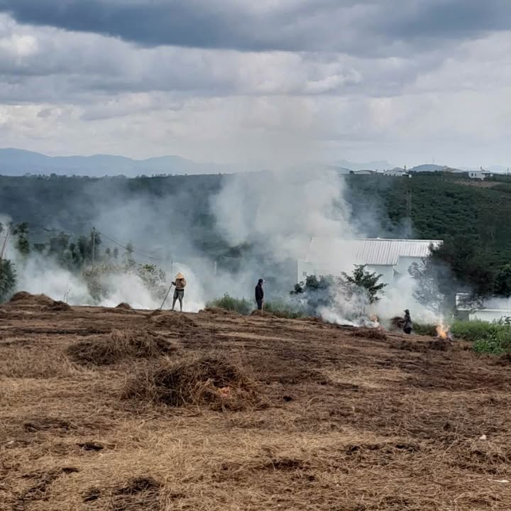 Đất nền Lộc Ngãi Bảo Lâm 195m² giá 700 triệu - Sổ hồng chính chủ, vị trí thoáng đãng!