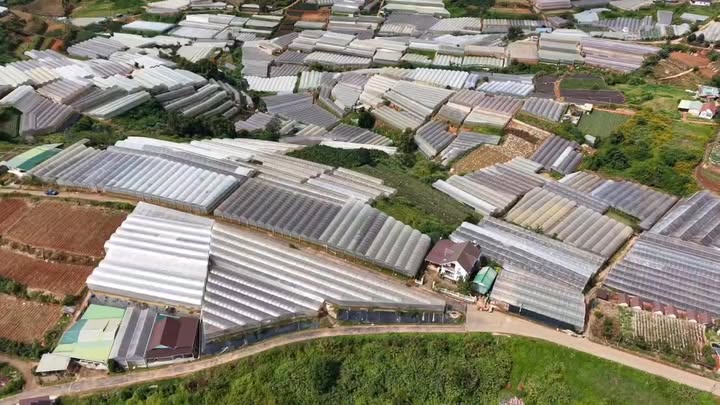 Đất nền Xuân Thọ, Đà Lạt 590m² giá 3,2 tỷ - View đẹp 180 độ không che chắn!