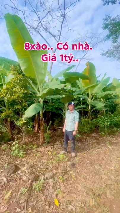 Đất nền 8xào tại ấp 3, xã Thanh Sơn, huyện Định Quán - Giá chỉ 1 tỷ!