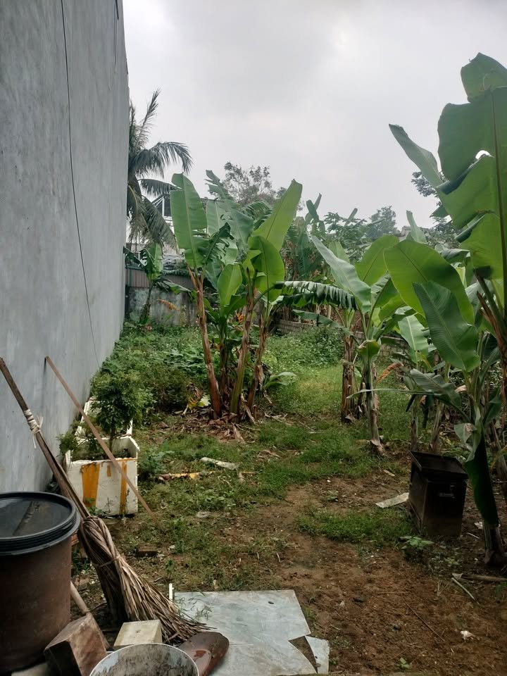 Đất nền Trung Sơn Sầm Sơn 115m² giá thỏa thuận - Hướng Đông, ô tô vào tận nơi!