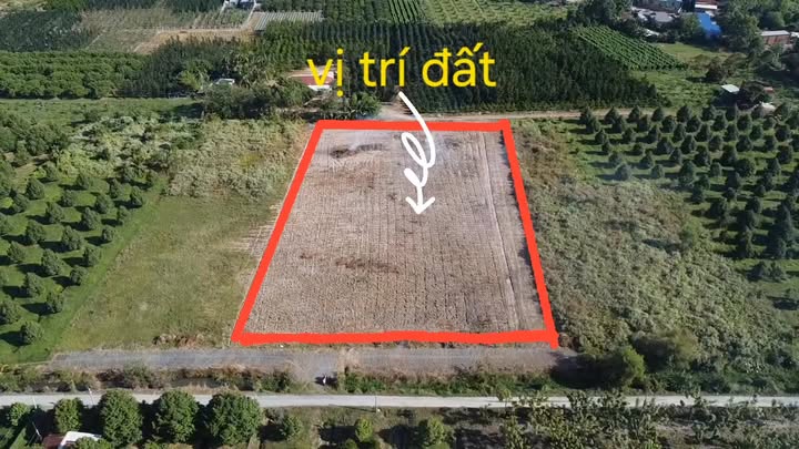 Đất vườn 2 mặt tiền 5539m² tại Trảng Bàng giá chỉ 6,1 tỷ - Cơ hội đầu tư tốt!