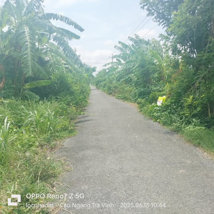 Đất lúa 9000m² tại Long Hữu, Duyên Hải chỉ 170 triệu - Pháp lý rõ ràng!