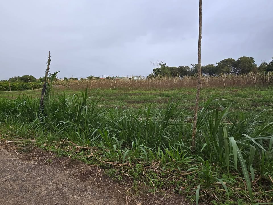 Đất thổ cư Hòa Thành, Krông Bông 260m² giá 2.73 tỷ - Sổ hồng chính chủ!