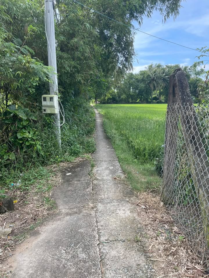 Đất nền ấp Thạnh Phú, xã Đồng Thạnh, 123,7m² giá chỉ 220 triệu - Sổ đỏ chính chủ