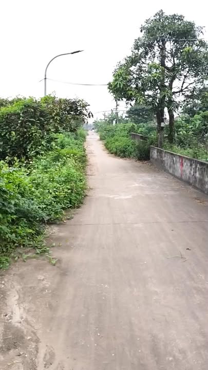 Đất thổ cư 330m² xóm 6 Nam Điền, Nghĩa Hưng - Giá 3.3 tỷ, hướng Đông