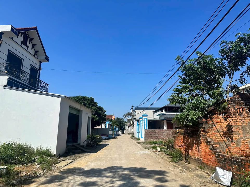 Đất mặt đường Phú Cát, Quốc Oai 245m² giá chỉ 20 triệu/m² - Cơ hội đầu tư vàng!