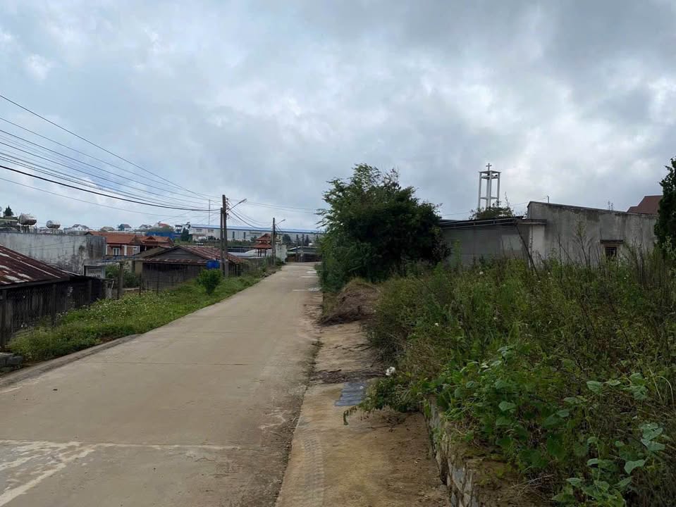 Đất nền Phường Xuân Trường Đà Lạt 1090m² giá 11.5 tỷ - View điện gió tuyệt đẹp!