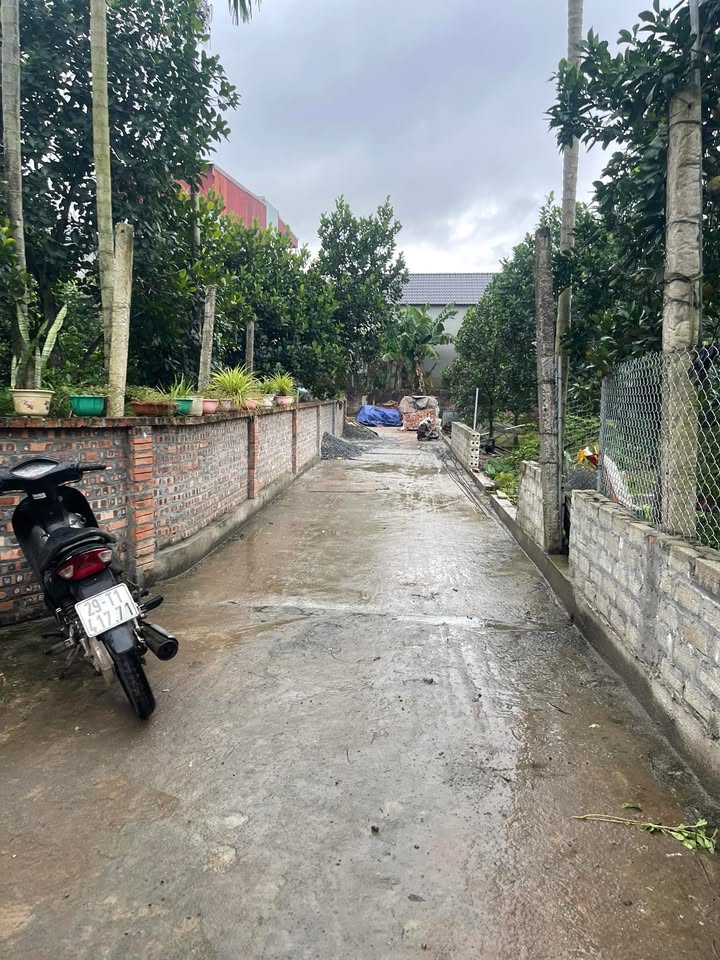 Đất nền Quất Động Thường Tín 80m² giá thương lượng - Lô góc ô tô tránh, vị trí kinh doanh đắc địa!