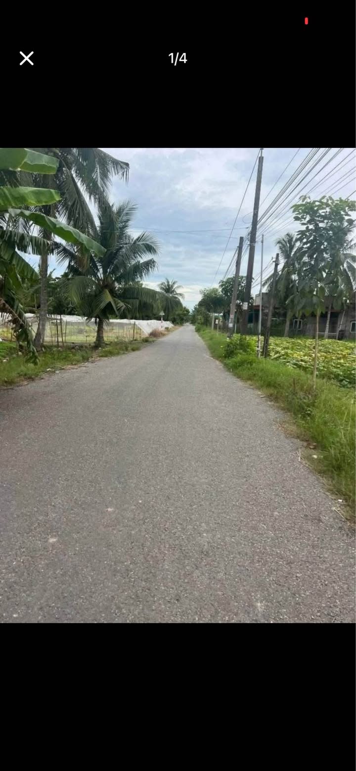 Đất mặt tiền lộ nhựa xã Thới Lai, Bình Đại 1350m² giá 1.3 tỷ - Cơ hội đầu tư tuyệt vời!