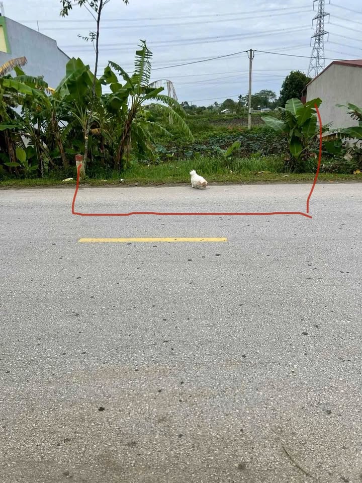 Đất thổ cư Đông Sơn 100m² giá 1,xxx - Cơ hội đầu tư tuyệt vời!