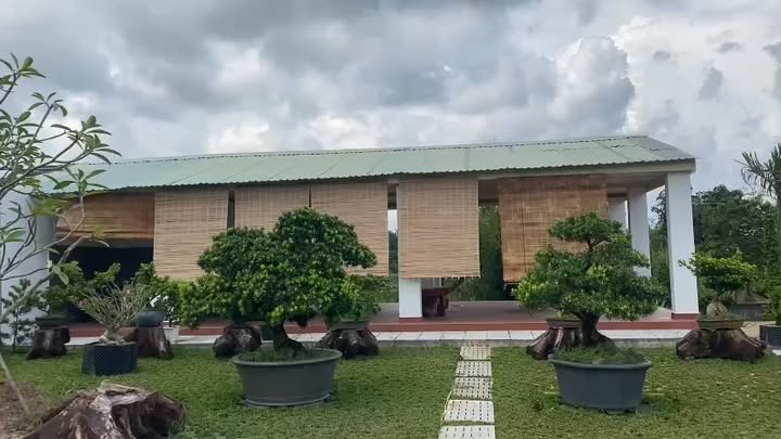 Farm Tân An Hội Củ Chi 3500m² giá 12 triệu - Đầu tư sinh lời ngay!