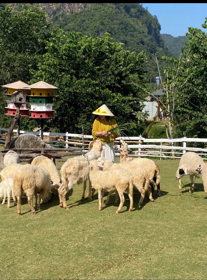 Đất nền Mộc Sơn Mộc Châu 105m² giá chỉ từ 10 tỷ - Tiềm năng tăng giá mạnh!