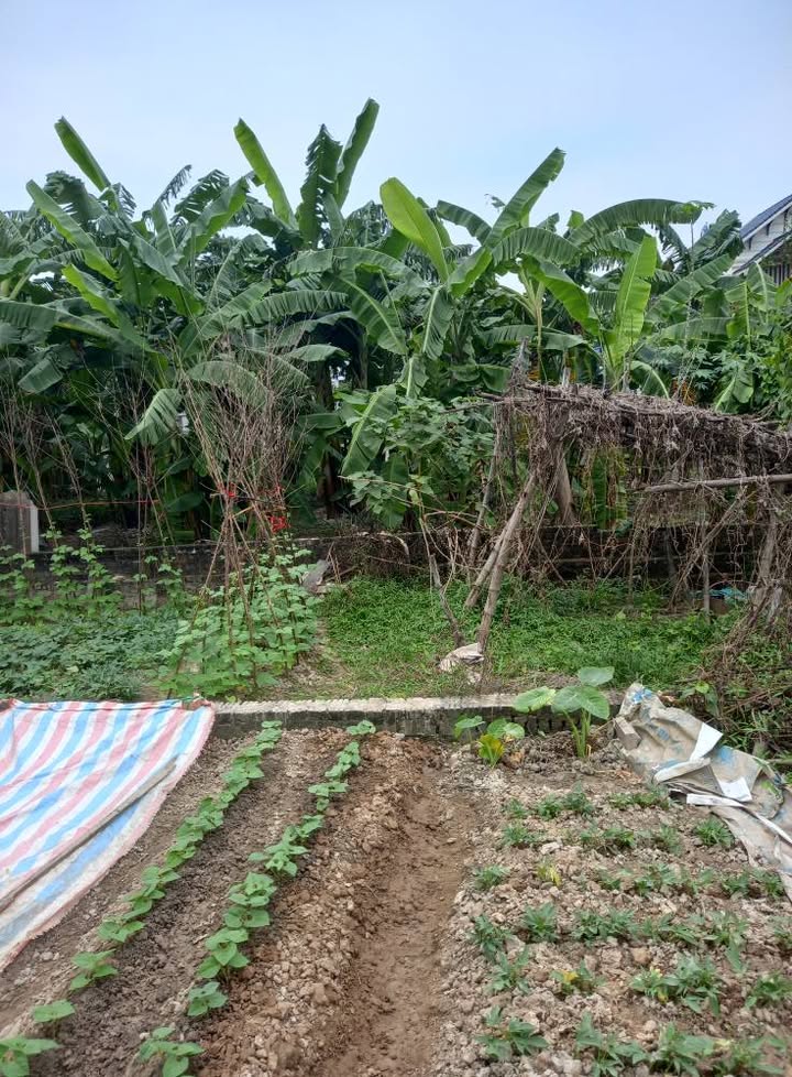 Đất thổ cư thôn Đông, xã Sóc Sơn, 108.8m² giá thỏa thuận - Đầu tư sinh lời ngay!