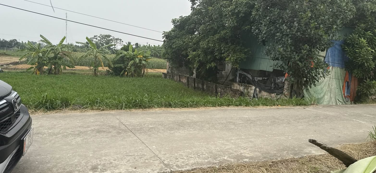 Đất nền mặt đường tỉnh lộ 284, Bắc Ninh 90m² - Giá chỉ 2 tỷ, cơ hội vàng không nên bỏ lỡ!