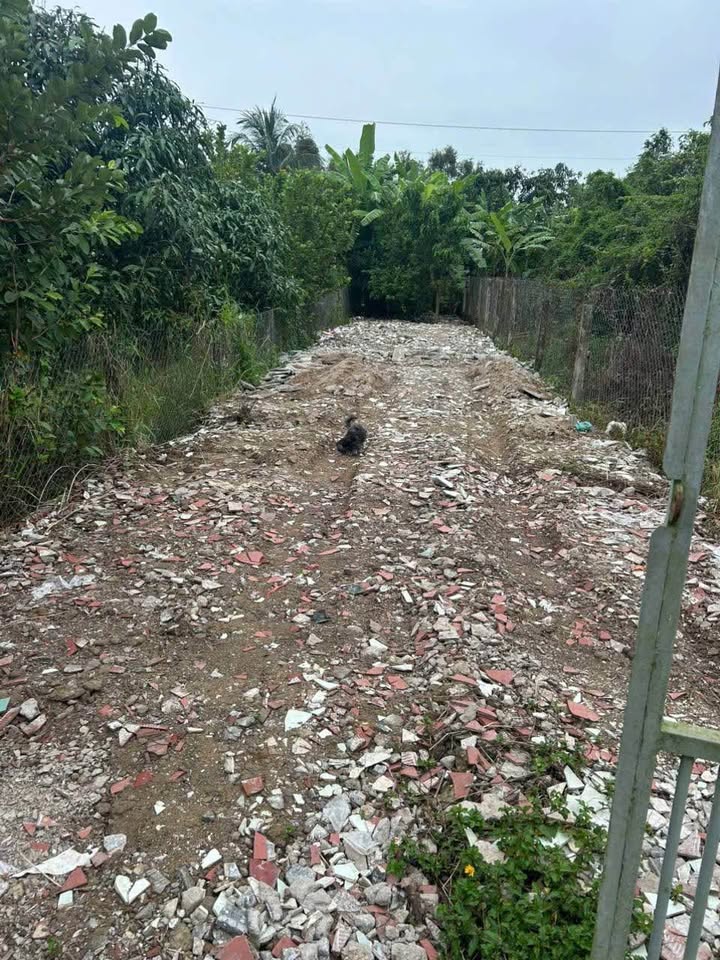 Đất thổ cư mặt tiền Lương Văn Hội, Tân An - 206.98m² chỉ 1.24 tỷ - Nhanh tay sở hữu!