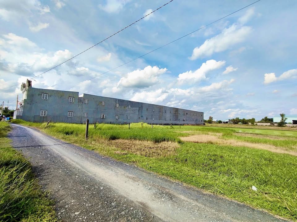 Đất nền Hòa Khánh Nam, Đức Hòa 145m² giá 900 triệu - Đầu tư sinh lời nhanh!