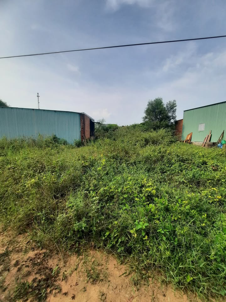 Đất nền chính chủ xã An Ngãi 102m² giá 300 triệu - Ô tô vào tận nơi!