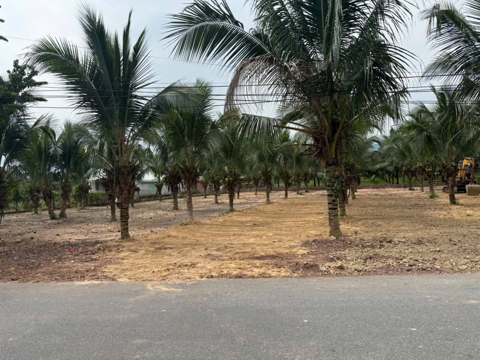 Đất mặt tiền nhựa Phước Hải 360m² giá 2.35 tỷ - Cơ hội đầu tư tuyệt vời!