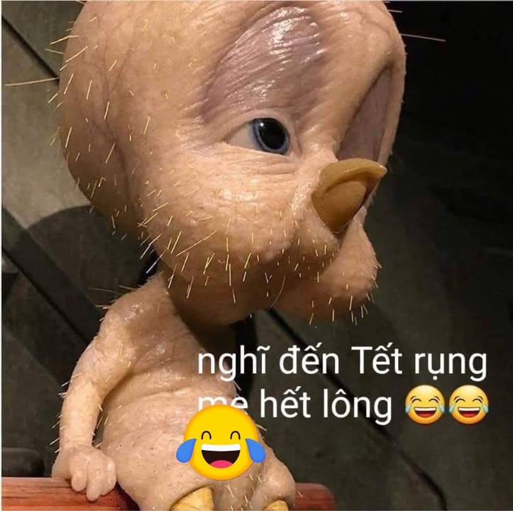 Đất nền Tam Phước Long Điền 195m² - Cơ hội vàng chỉ còn 2 lô!